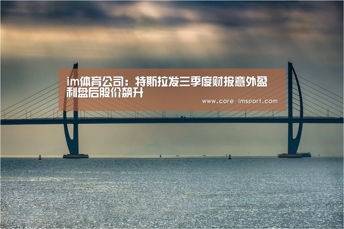 im体育公司