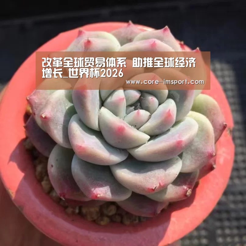 im体育公司