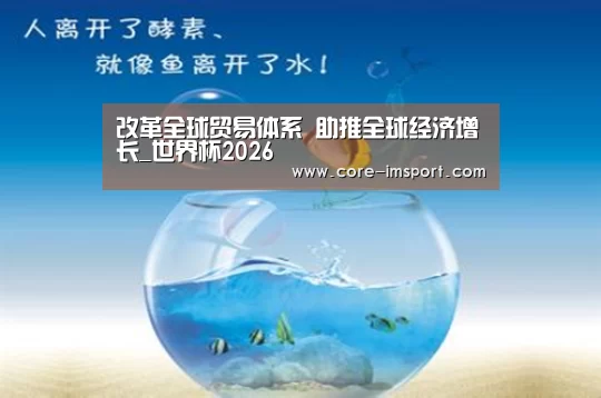 im体育公司