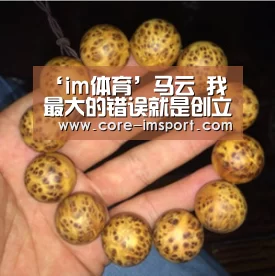 im体育公司